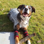 Ck4KTFNuYXBjaGF0LzEzLjI5LjAuNDkgKFNNLUE1NDZCOyBBbmRyb2lkIDE0I0E1NDZCWFhTQkNZQTIjMzQ7IGd6aXApIFYvTVVTSFJPT00=